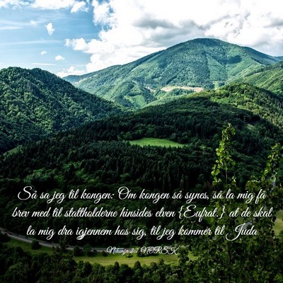 Picture 03 - Nehemja 2:7 NORSK - Så sa jeg til kongen: Om kongen så synes, så - Bible Verse Picture