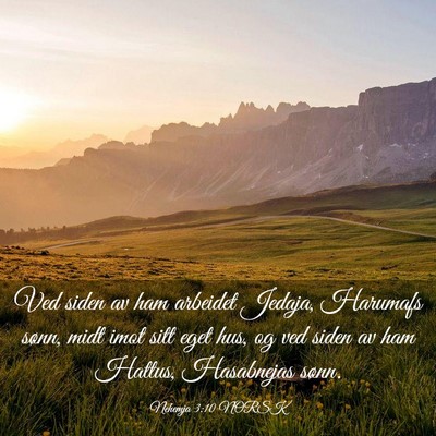 Picture 03 - Nehemja 3:10 NORSK - Ved siden av ham arbeidet Jedaja, Harumafs sønn, - Bible Verse Picture
