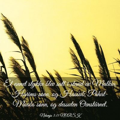 Picture 03 - Nehemja 3:11 NORSK - Et annet stykke blev satt i stand av Malkia, - Bible Verse Picture
