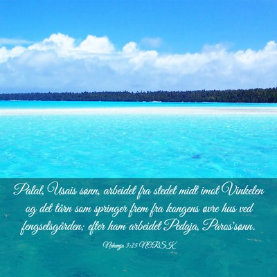 Picture 03 - Nehemja 3:25 NORSK - Palal, Usais sønn, arbeidet fra stedet midt imot - Bible Verse Picture