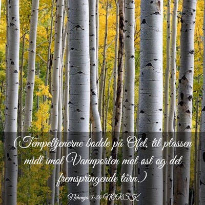 Picture 03 - Nehemja 3:26 NORSK - (Tempeltjenerne bodde på Ofel, til plassen midt - Bible Verse Picture