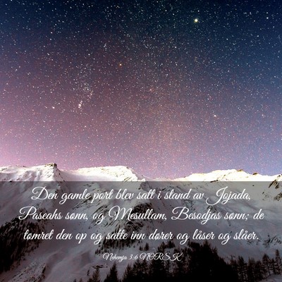 Picture 03 - Nehemja 3:6 NORSK - Den gamle port blev satt i stand av Jojada, - Bible Verse Picture