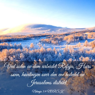 Picture 03 - Nehemja 3:9 NORSK - Ved siden av dem arbeidet Refaja, Hurs sønn, - Bible Verse Picture