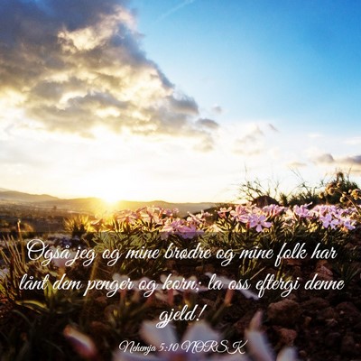 Picture 03 - Nehemja 5:10 NORSK - Også jeg og mine brødre og mine folk har lånt - Bible Verse Picture