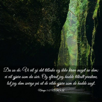 Picture 03 - Nehemja 5:12 NORSK - Da sa de: Vi vil gi det tilbake og ikke kreve - Bible Verse Picture