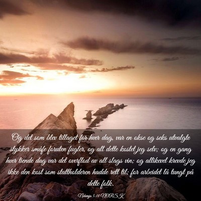Picture 03 - Nehemja 5:18 NORSK - Og det som blev tillaget for hver dag, var en - Bible Verse Picture