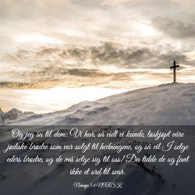 Picture 03 - Nehemja 5:8 NORSK - Og jeg sa til dem: Vi har, så vidt vi kunde, - Bible Verse Picture