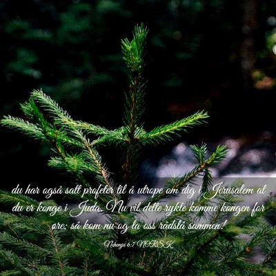 Picture 03 - Nehemja 6:7 NORSK - du har også satt profeter til å utrope om dig i - Bible Verse Picture