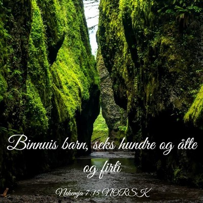 Picture 03 - Nehemja 7:15 NORSK - Binnuis barn, seks hundre og åtte og - Bible Verse Picture