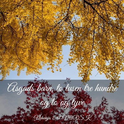 Picture 03 - Nehemja 7:17 NORSK - Asgads barn, to tusen tre hundre og to og - Bible Verse Picture
