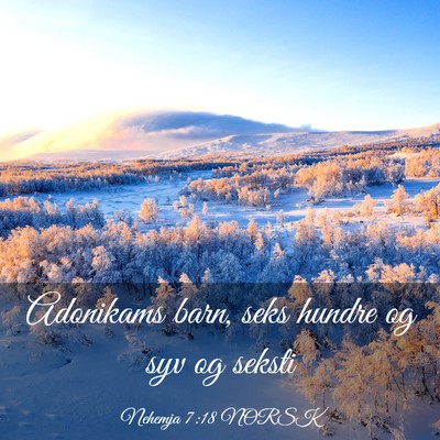 Picture 03 - Nehemja 7:18 NORSK - Adonikams barn, seks hundre og syv og - Bible Verse Picture