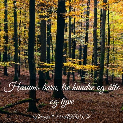 Picture 03 - Nehemja 7:22 NORSK - Hasums barn, tre hundre og åtte og - Bible Verse Picture