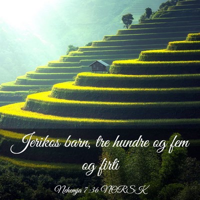 Picture 03 - Nehemja 7:36 NORSK - Jerikos barn, tre hundre og fem og - Bible Verse Picture