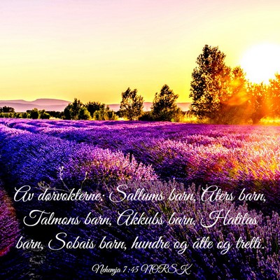 Picture 03 - Nehemja 7:45 NORSK - Av dørvokterne: Sallums barn, Aters barn, - Bible Verse Picture