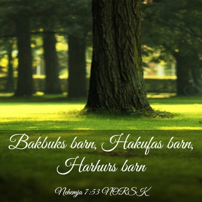 Picture 03 - Nehemja 7:53 NORSK - Bakbuks barn, Hakufas barn, Harhurs - Bible Verse Picture