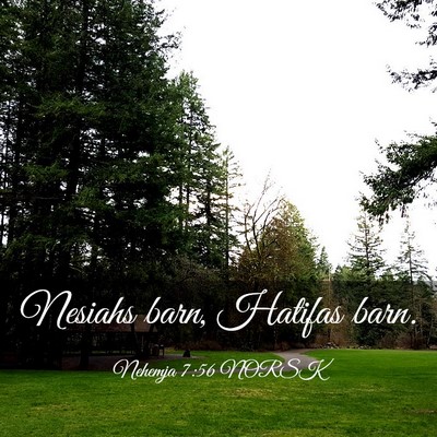 Picture 03 - Nehemja 7:56 NORSK - Nesiahs barn, Hatifas - Bible Verse Picture