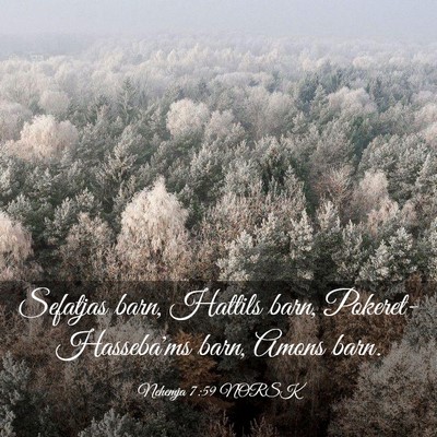 Picture 03 - Nehemja 7:59 NORSK - Sefatjas barn, Hattils barn, Pokeret-Hasseba'ms - Bible Verse Picture