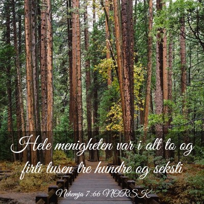 Picture 03 - Nehemja 7:66 NORSK - Hele menigheten var i alt to og firti tusen tre - Bible Verse Picture