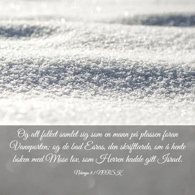 Picture 03 - Nehemja 8:1 NORSK - Og alt folket samlet sig som en mann på plassen - Bible Verse Picture