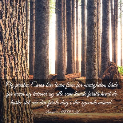 Picture 03 - Nehemja 8:2 NORSK - Og presten Esras bar loven frem for menigheten, - Bible Verse Picture