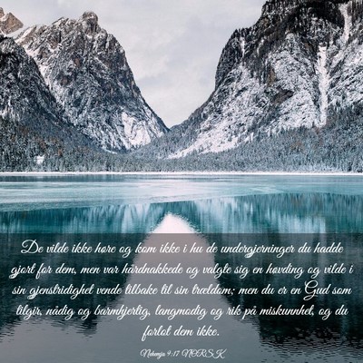 Picture 03 - Nehemja 9:17 NORSK - De vilde ikke høre og kom ikke i hu de - Bible Verse Picture