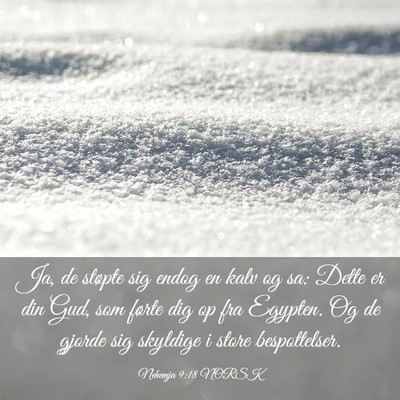 Picture 03 - Nehemja 9:18 NORSK - Ja, de støpte sig endog en kalv og sa: Dette er - Bible Verse Picture