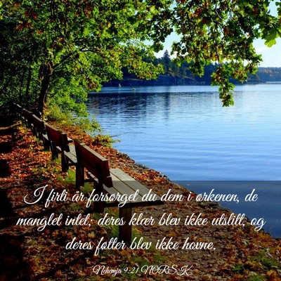 Picture 03 - Nehemja 9:21 NORSK - I firti år forsørget du dem i ørkenen, de - Bible Verse Picture