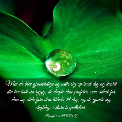 Picture 03 - Nehemja 9:26 NORSK - Men de blev gjenstridige og satte sig op imot dig - Bible Verse Picture