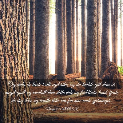 Picture 03 - Nehemja 9:35 NORSK - Og enda de levde i sitt eget rike, og du hadde - Bible Verse Picture