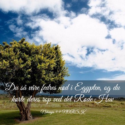 Picture 03 - Nehemja 9:9 NORSK - Du så våre fedres nød i Egypten, og du hørte - Bible Verse Picture