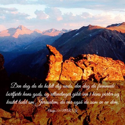 Picture 03 - Obadja 1:11 NORSK - Den dag da du holdt dig unda, den dag da fremmede - Bible Verse Picture