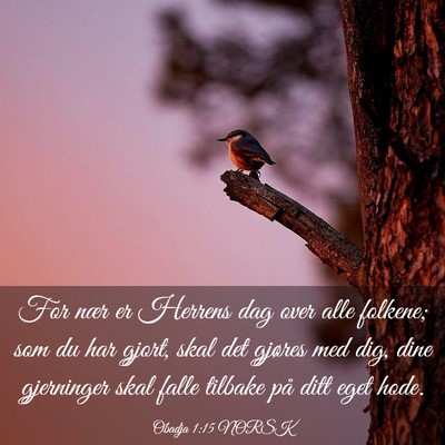Picture 03 - Obadja 1:15 NORSK - For nær er Herrens dag over alle folkene; som du - Bible Verse Picture