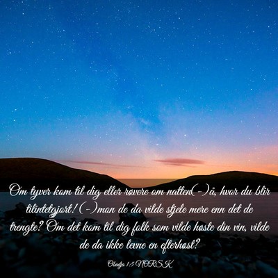 Picture 03 - Obadja 1:5 NORSK - Om tyver kom til dig eller røvere om - Bible Verse Picture
