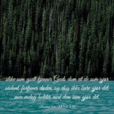 Picture 03 - Romerne 1:32 NORSK - slike som godt kjenner Guds dom at de som gjør - Bible Verse Picture