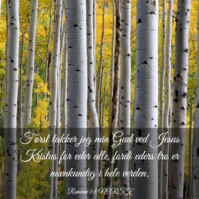 Picture 03 - Romerne 1:8 NORSK - Først takker jeg min Gud ved Jesus Kristus for - Bible Verse Picture