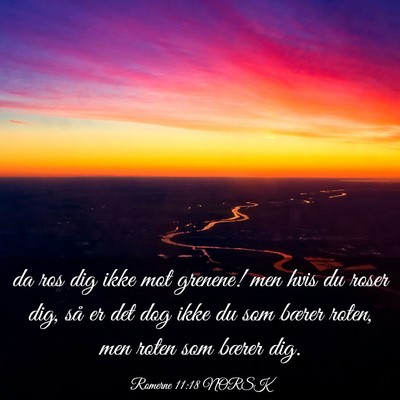 Picture 03 - Romerne 11:18 NORSK - da ros dig ikke mot grenene! men hvis du roser - Bible Verse Picture
