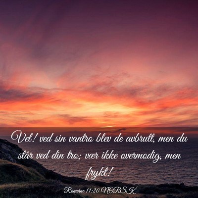 Picture 03 - Romerne 11:20 NORSK - Vel! ved sin vantro blev de avbrutt, men du står - Bible Verse Picture