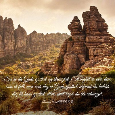 Picture 03 - Romerne 11:22 NORSK - Så se da Guds godhet og strenghet: Strenghet er - Bible Verse Picture