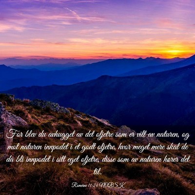 Picture 03 - Romerne 11:24 NORSK - For blev du avhugget av det oljetre som er vilt - Bible Verse Picture