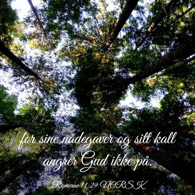 Picture 03 - Romerne 11:29 NORSK - for sine nådegaver og sitt kall angrer Gud ikke - Bible Verse Picture