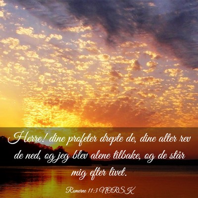 Picture 03 - Romerne 11:3 NORSK - Herre! dine profeter drepte de, dine alter rev de - Bible Verse Picture