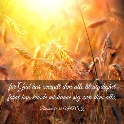 Picture 03 - Romerne 11:32 NORSK - for Gud har overgitt dem alle til ulydighet forat - Bible Verse Picture