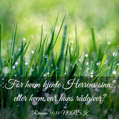 Picture 03 - Romerne 11:34 NORSK - For hvem kjente Herrens sinn? eller hvem var hans - Bible Verse Picture