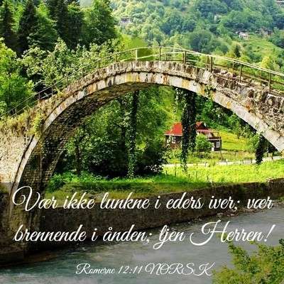 Picture 03 - Romerne 12:11 NORSK - Vær ikke lunkne i eders iver; vær brennende i - Bible Verse Picture