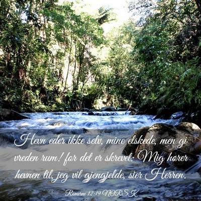 Picture 03 - Romerne 12:19 NORSK - Hevn eder ikke selv, mine elskede, men gi vreden - Bible Verse Picture