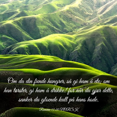 Picture 03 - Romerne 12:20 NORSK - Om da din fiende hungrer, så gi ham å ete; om - Bible Verse Picture