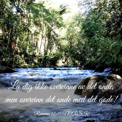Picture 03 - Romerne 12:21 NORSK - La dig ikke overvinne av det onde, men overvinn - Bible Verse Picture