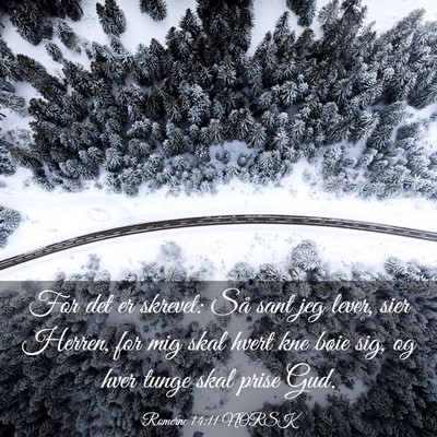 Picture 03 - Romerne 14:11 NORSK - For det er skrevet: Så sant jeg lever, sier - Bible Verse Picture