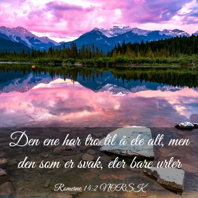 Picture 03 - Romerne 14:2 NORSK - Den ene har tro til å ete alt, men den som er - Bible Verse Picture