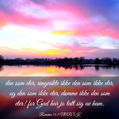 Picture 03 - Romerne 14:3 NORSK - den som eter, ringeakte ikke den som ikke eter, - Bible Verse Picture
